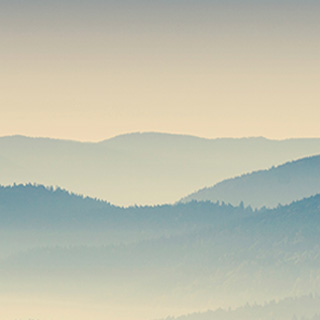 在线手机号轰炸网页版