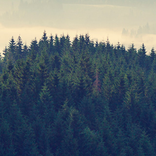 免费短信轰炸机