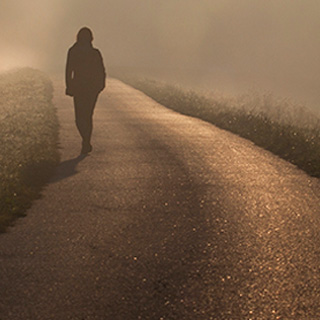 手机号轰炸平台